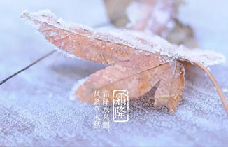 今日霜降：秋將逝，冬將至。